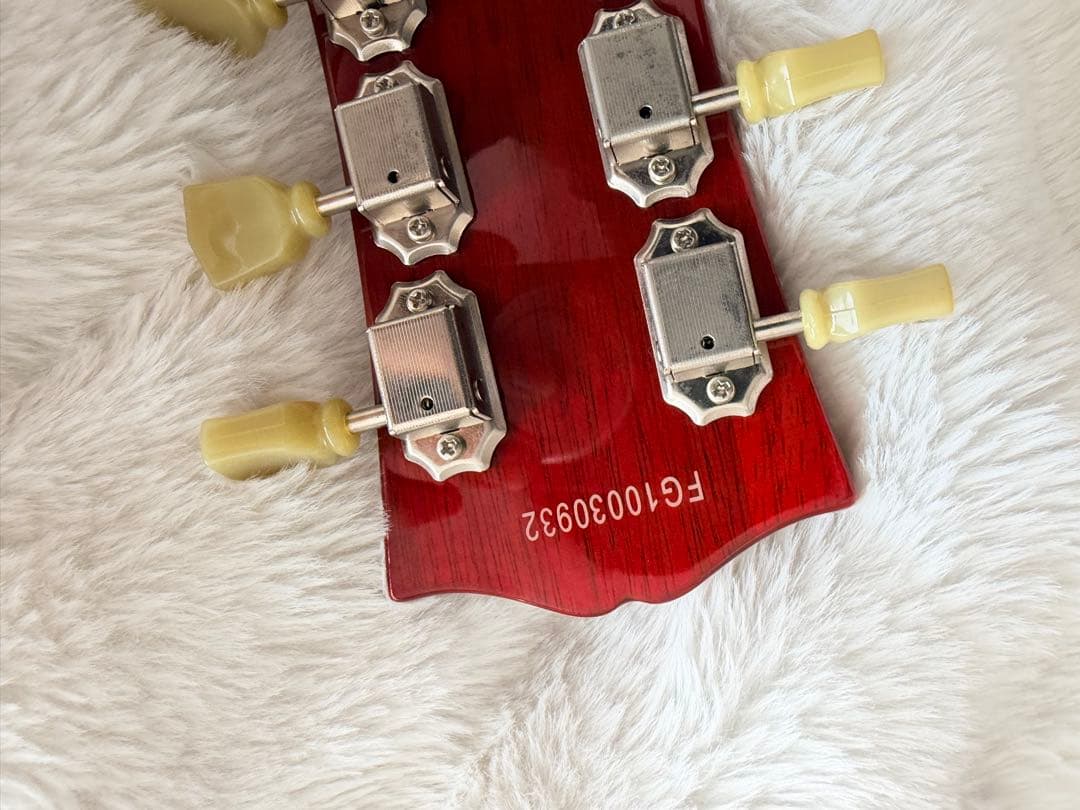BURNY srlg55 値下げします