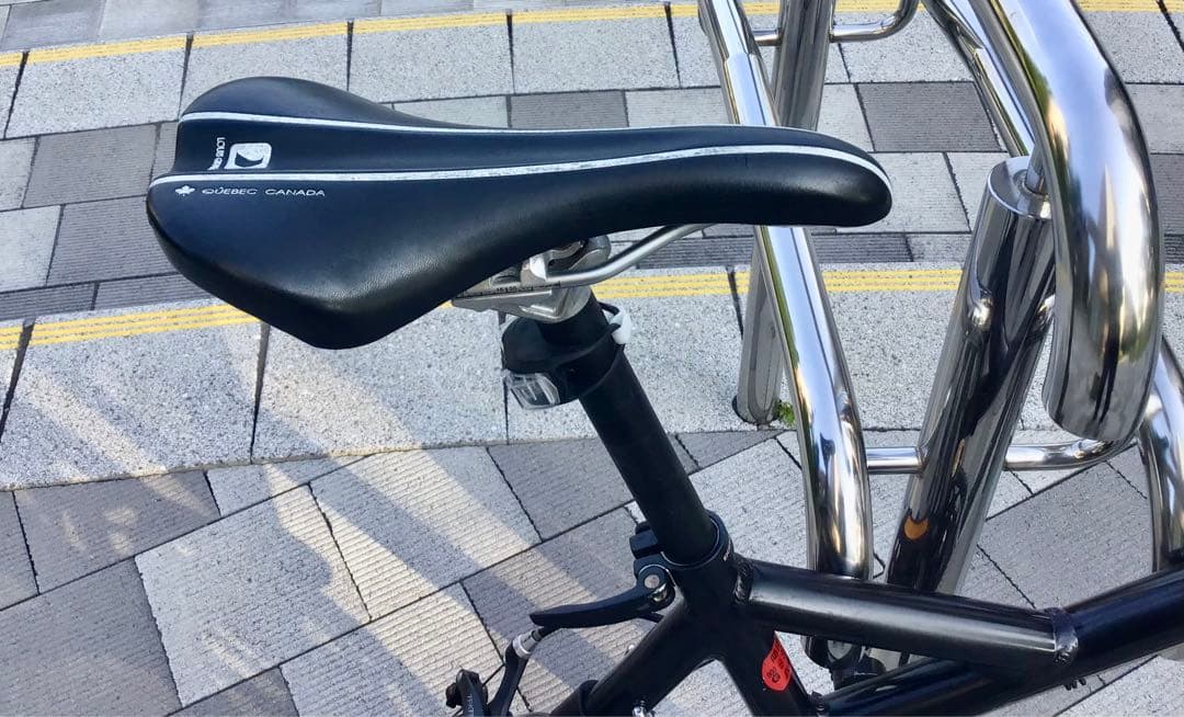 LOUIS GARNEAU ルイガノ　MV3R ミニベロ20インチ18段東京