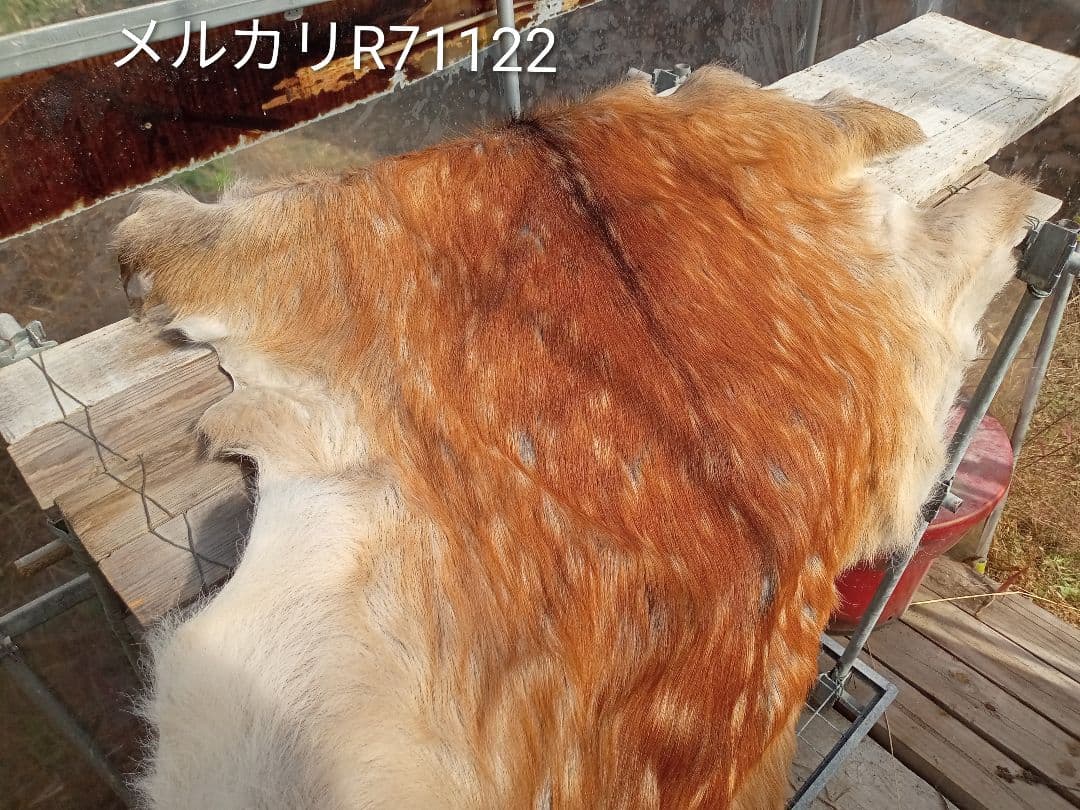 天然日本鹿夏毛　ラグ　 ブランケット