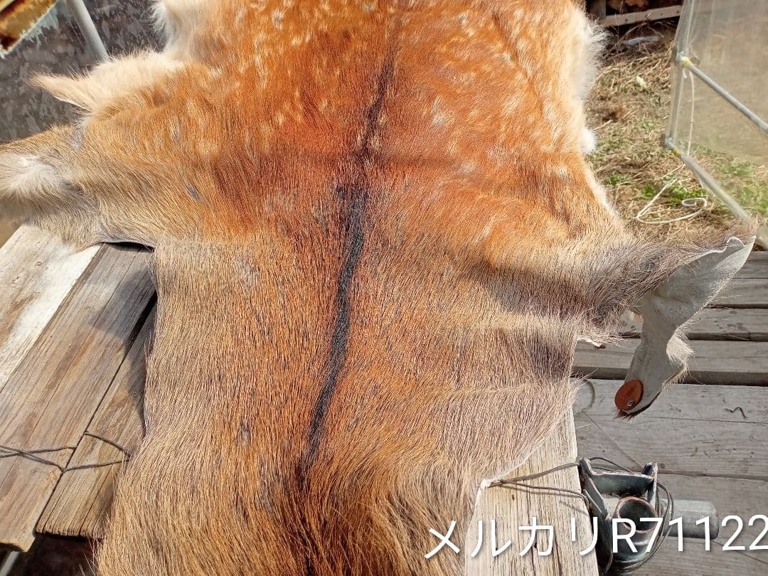 天然日本鹿夏毛　ラグ　 ブランケット