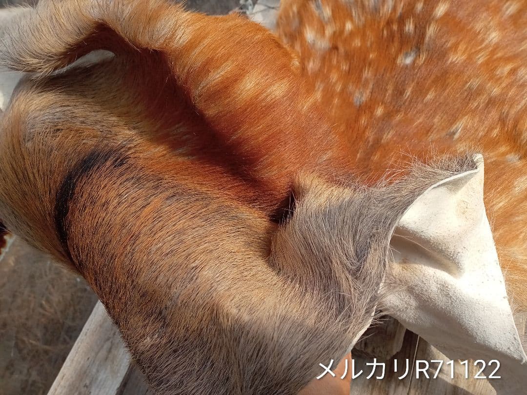 天然日本鹿夏毛　ラグ　 ブランケット