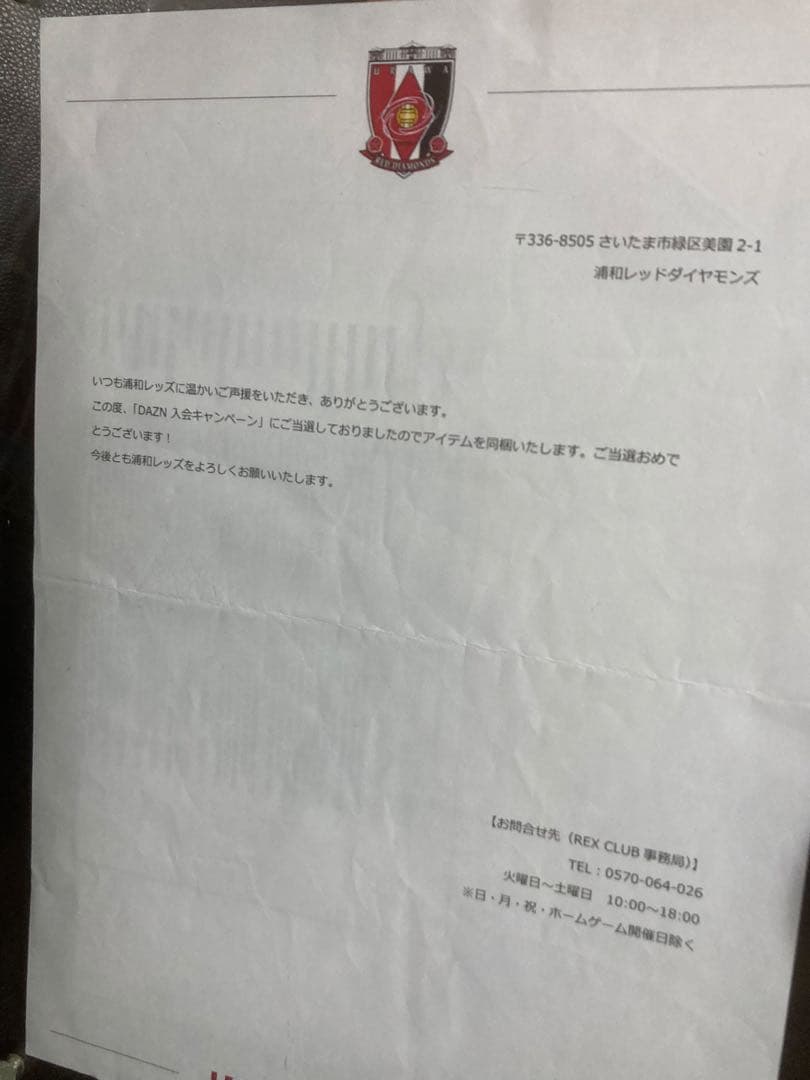 浦和レッズ ユニフォーム 2021年モデル　サイン入り 33番 NIKE 江坂任