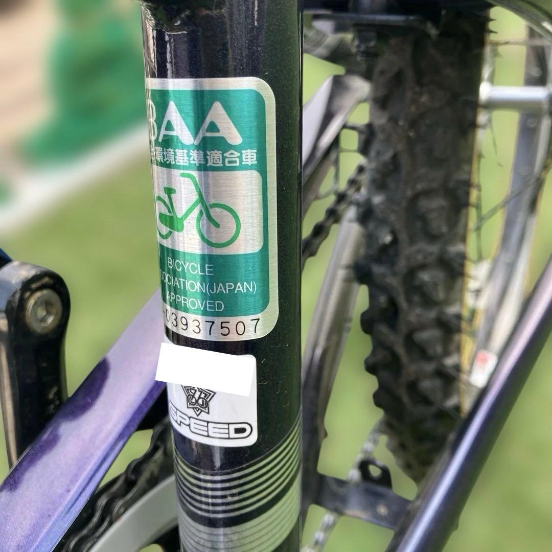ブリヂストン　ジュニアサイクル　22インチ