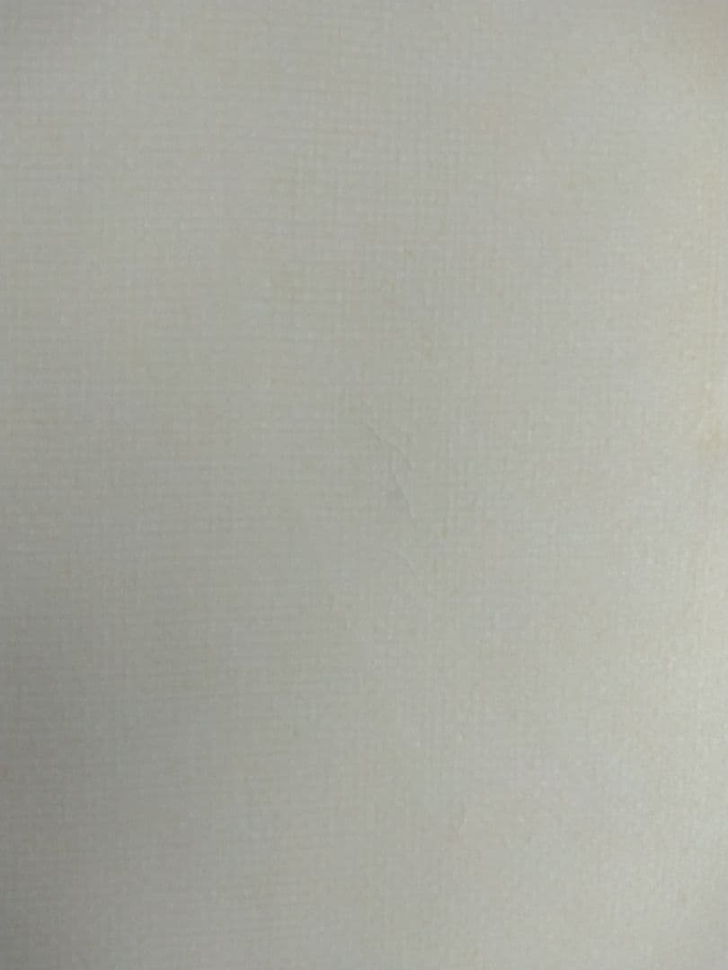 ESSENCE ファンボード6.4ft トライフィン