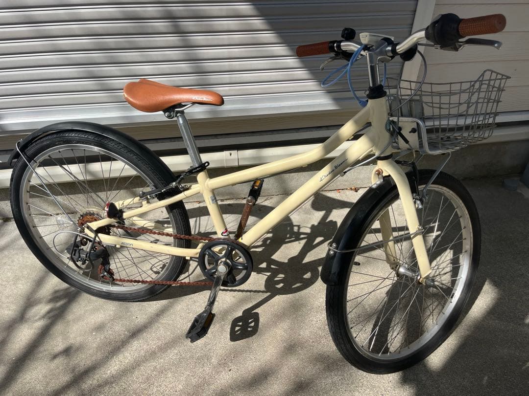 コーダーブルームasson J24 アイボリー