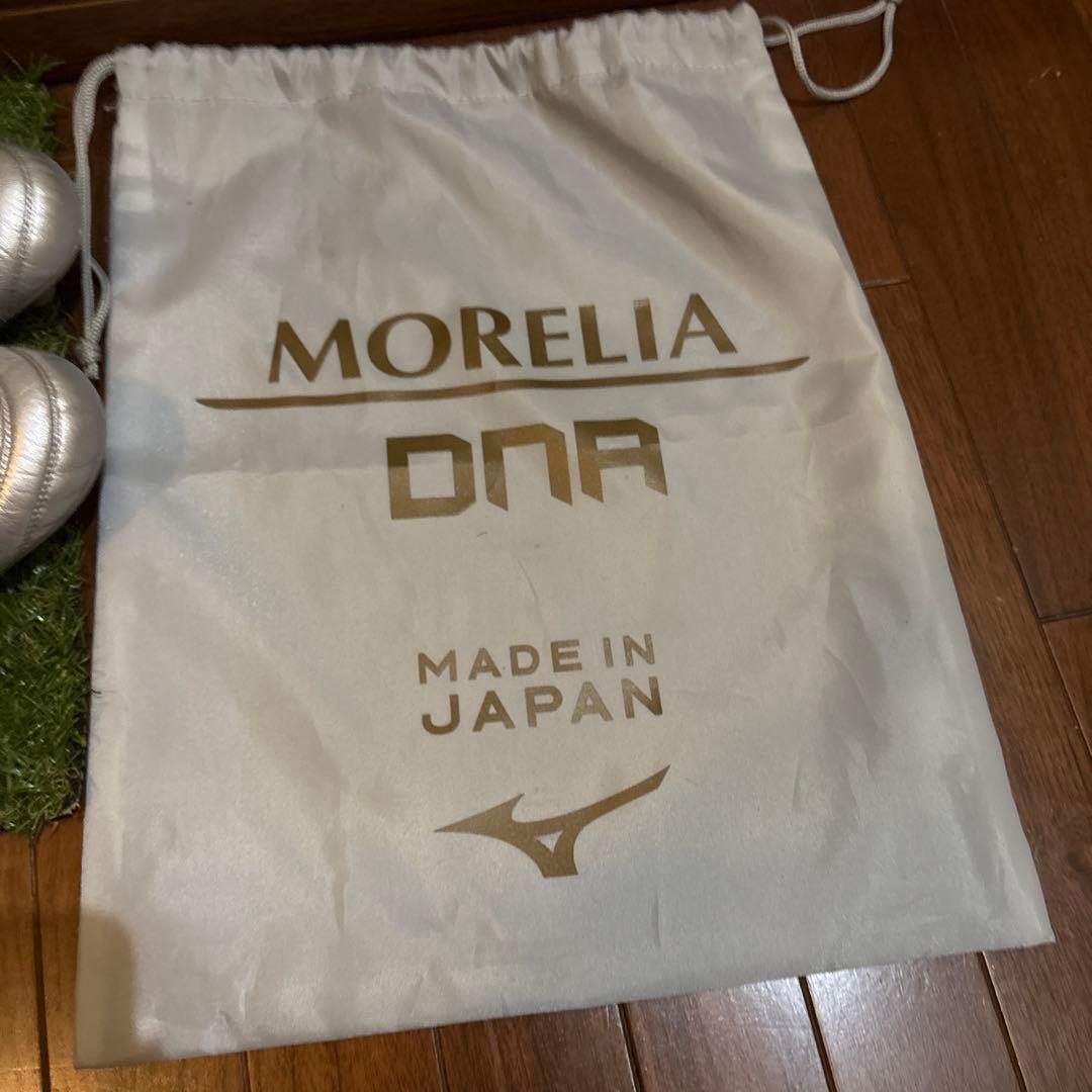 モレリアDNA