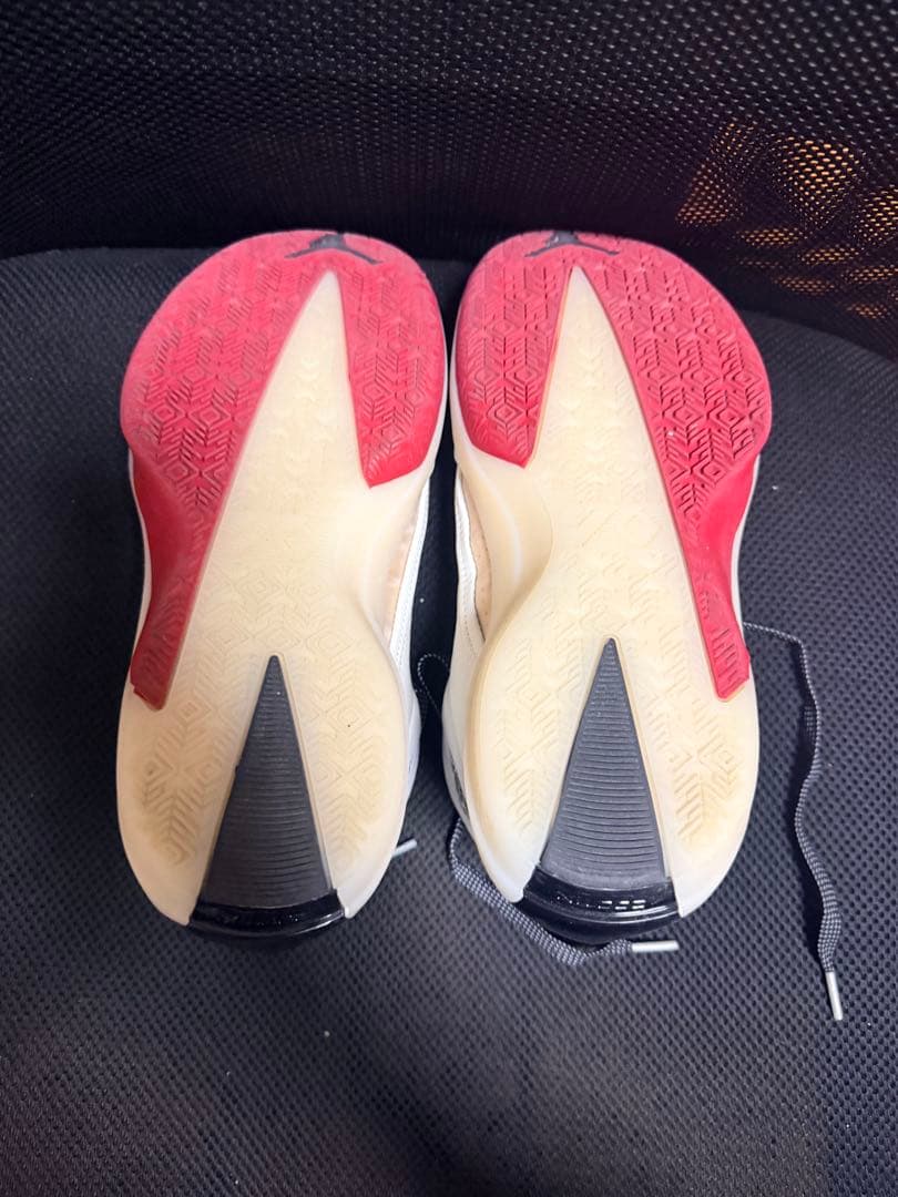 Air jordan 40 シカゴ