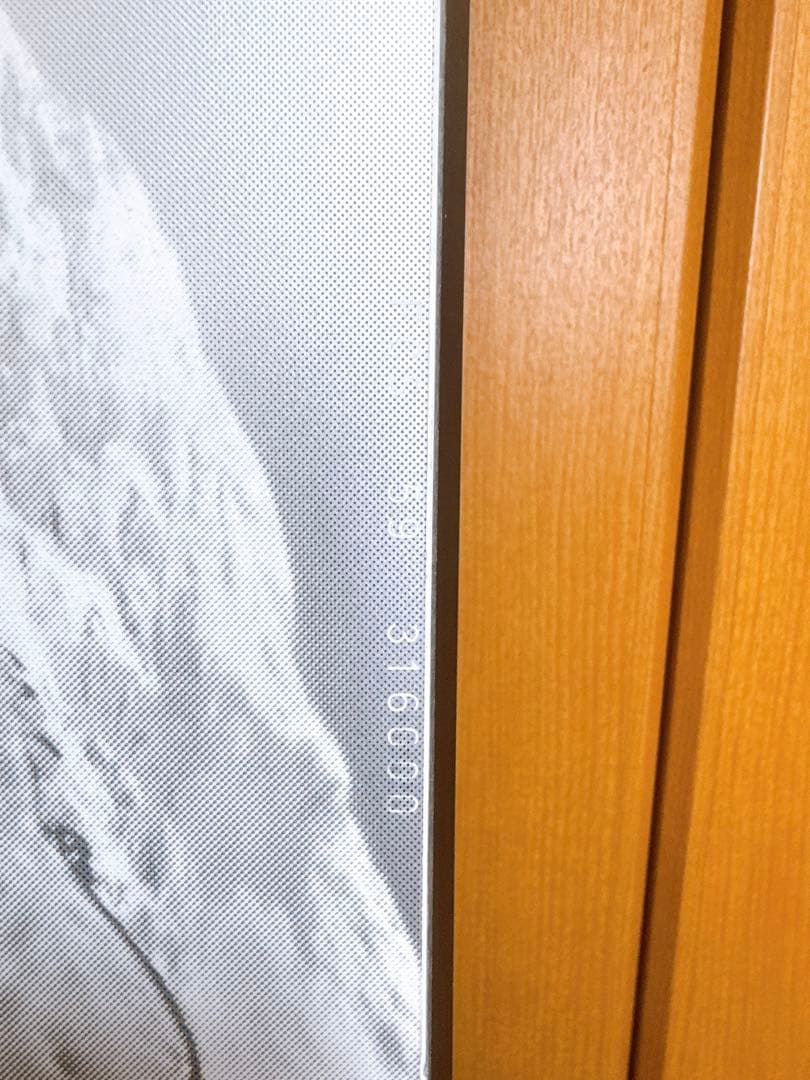 美品！ogasaka FC-S オガサカ159cm