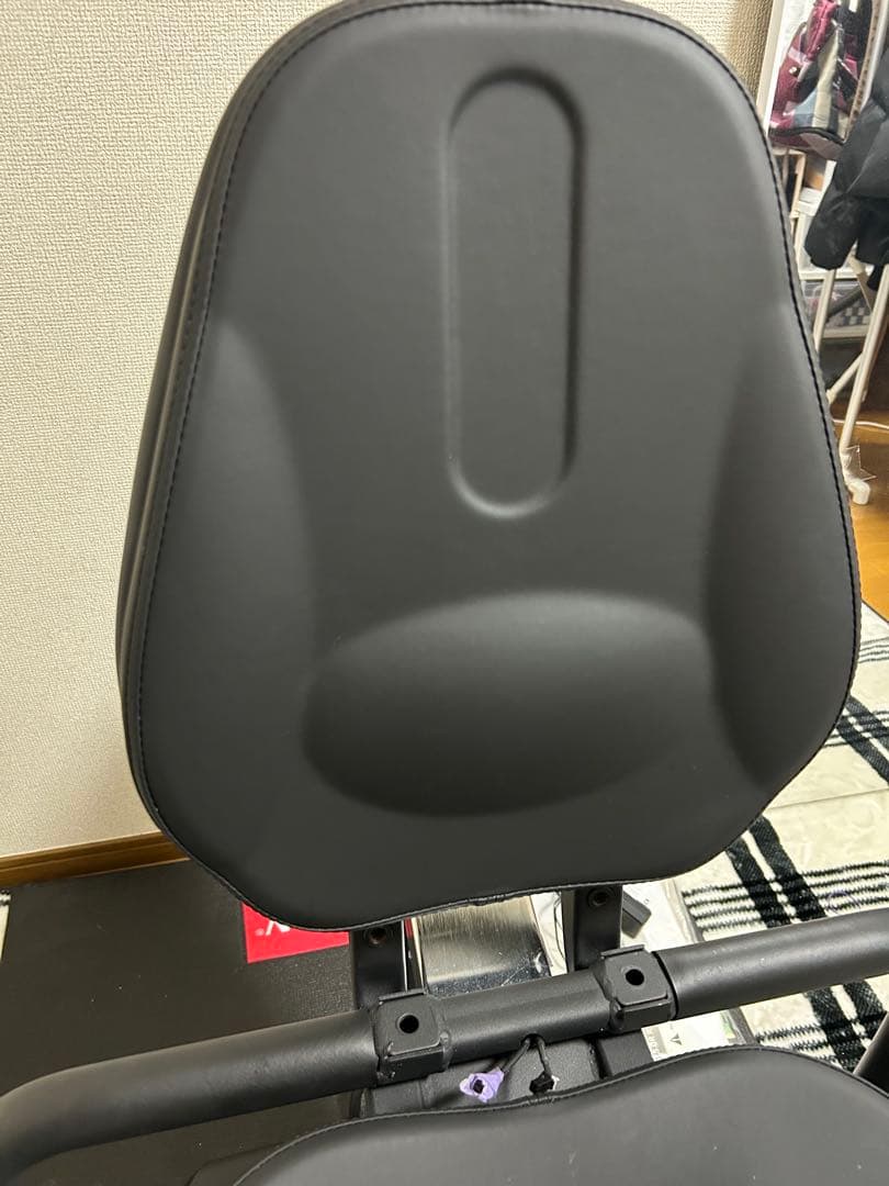 超絶美品 Horizonリカンベントバイク 5.0 R