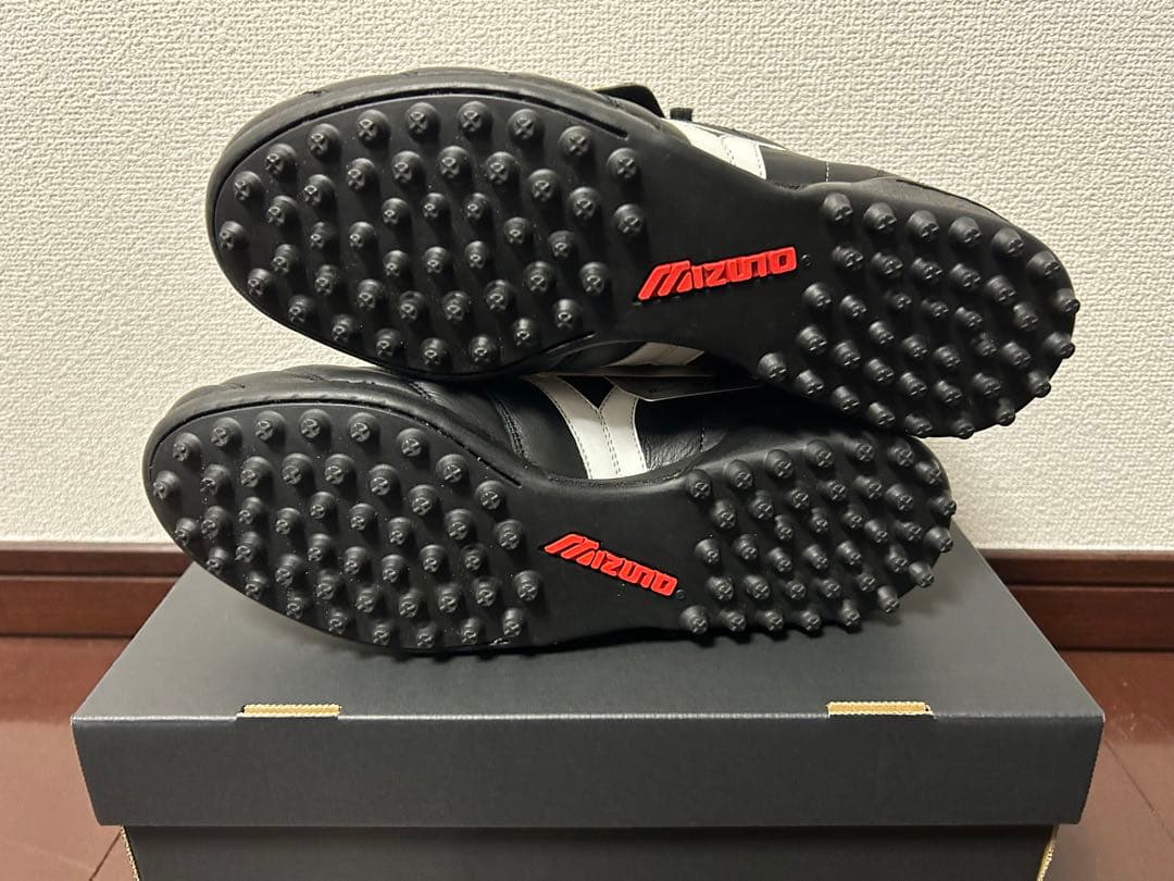 モレリアII AS 25.5 MORELIA 2
