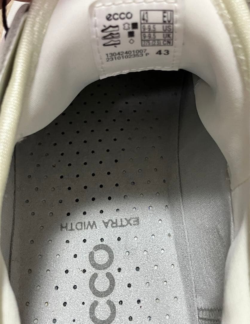 Eccoゴルフシューズ　サイズ43 BIOM C4