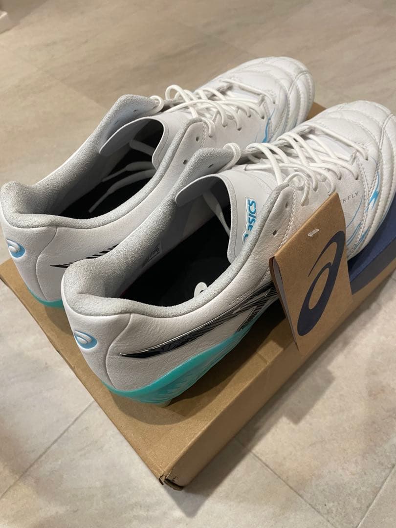 DS LIGHT X-FLY 5 LIMITED 27.5cm 【asics】