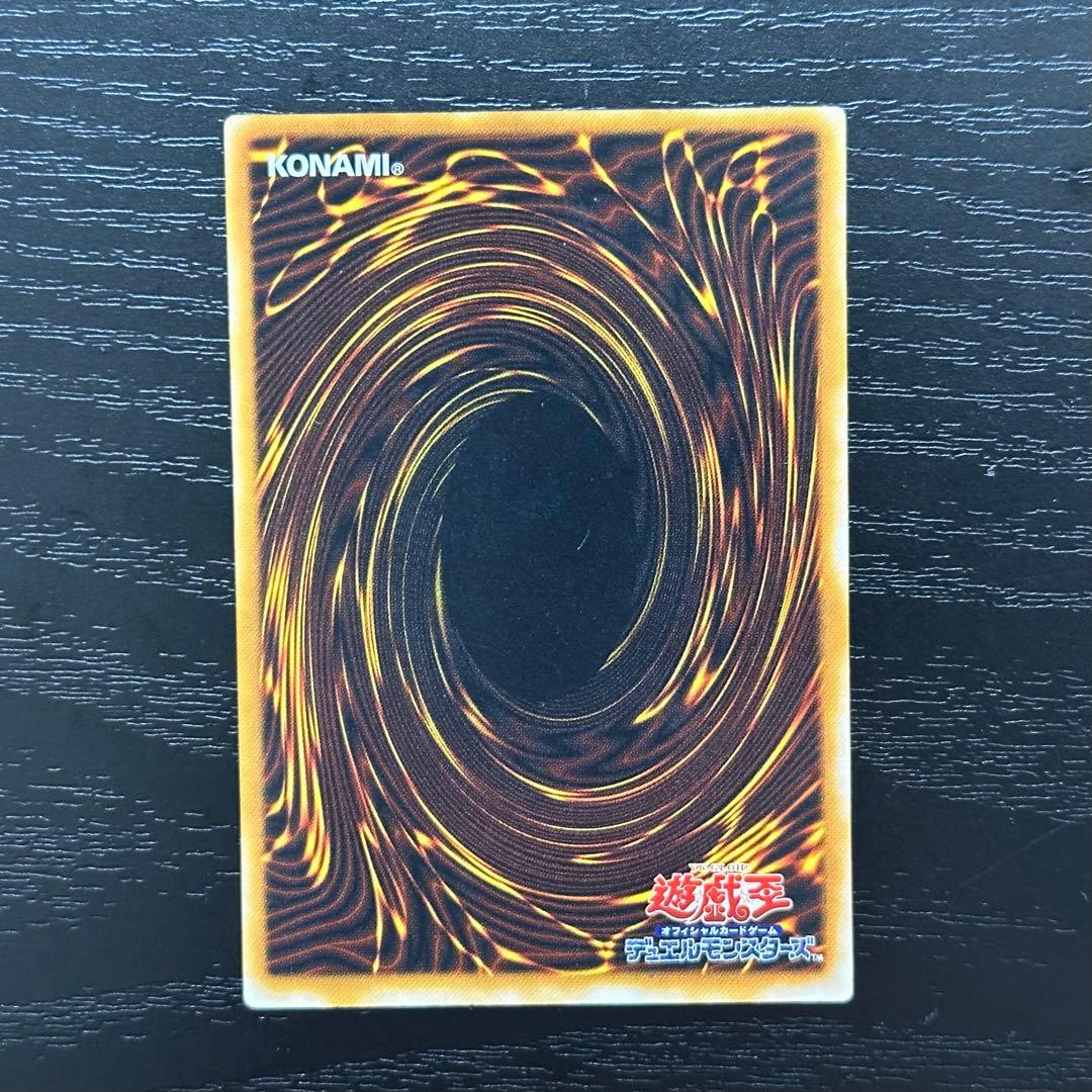 遊戯王 ダークネクロフィア レリーフ
