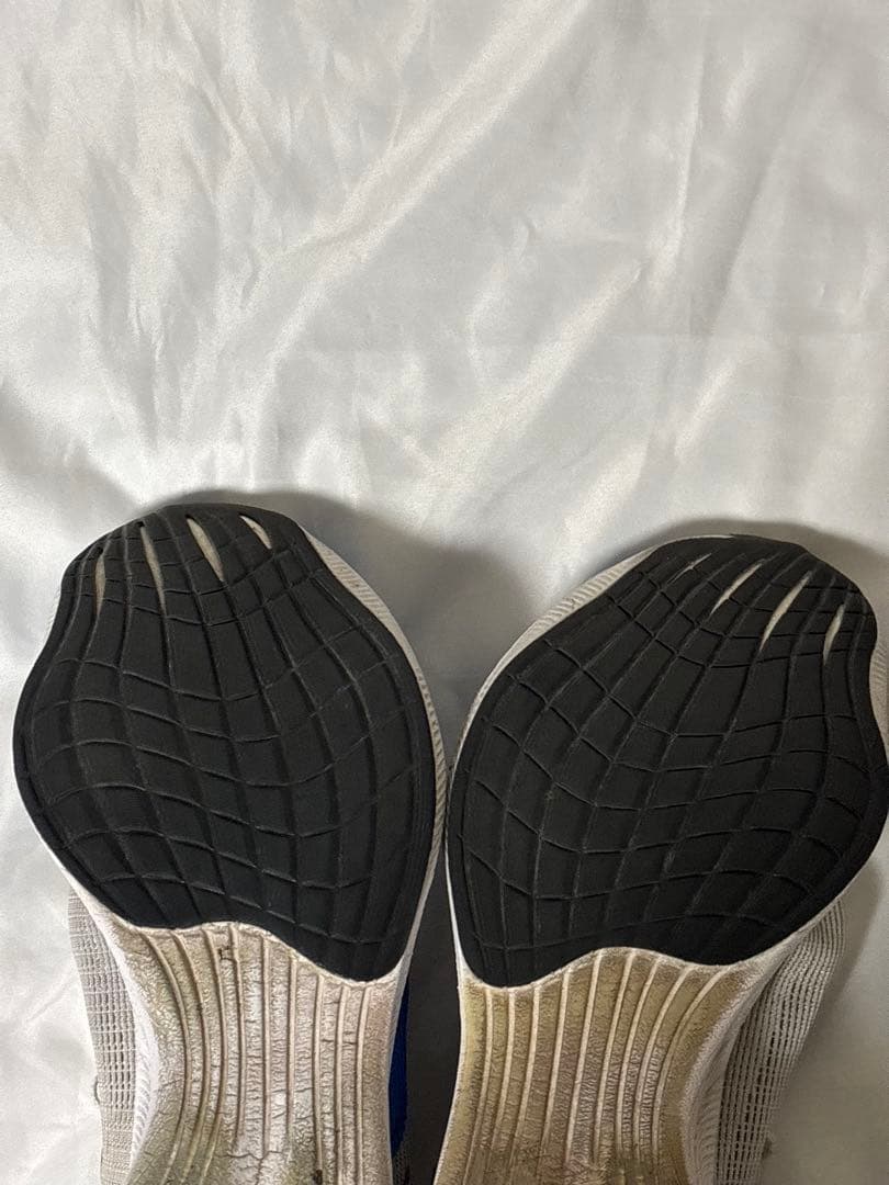NIKE ヴェイパーフライ2 28cm
