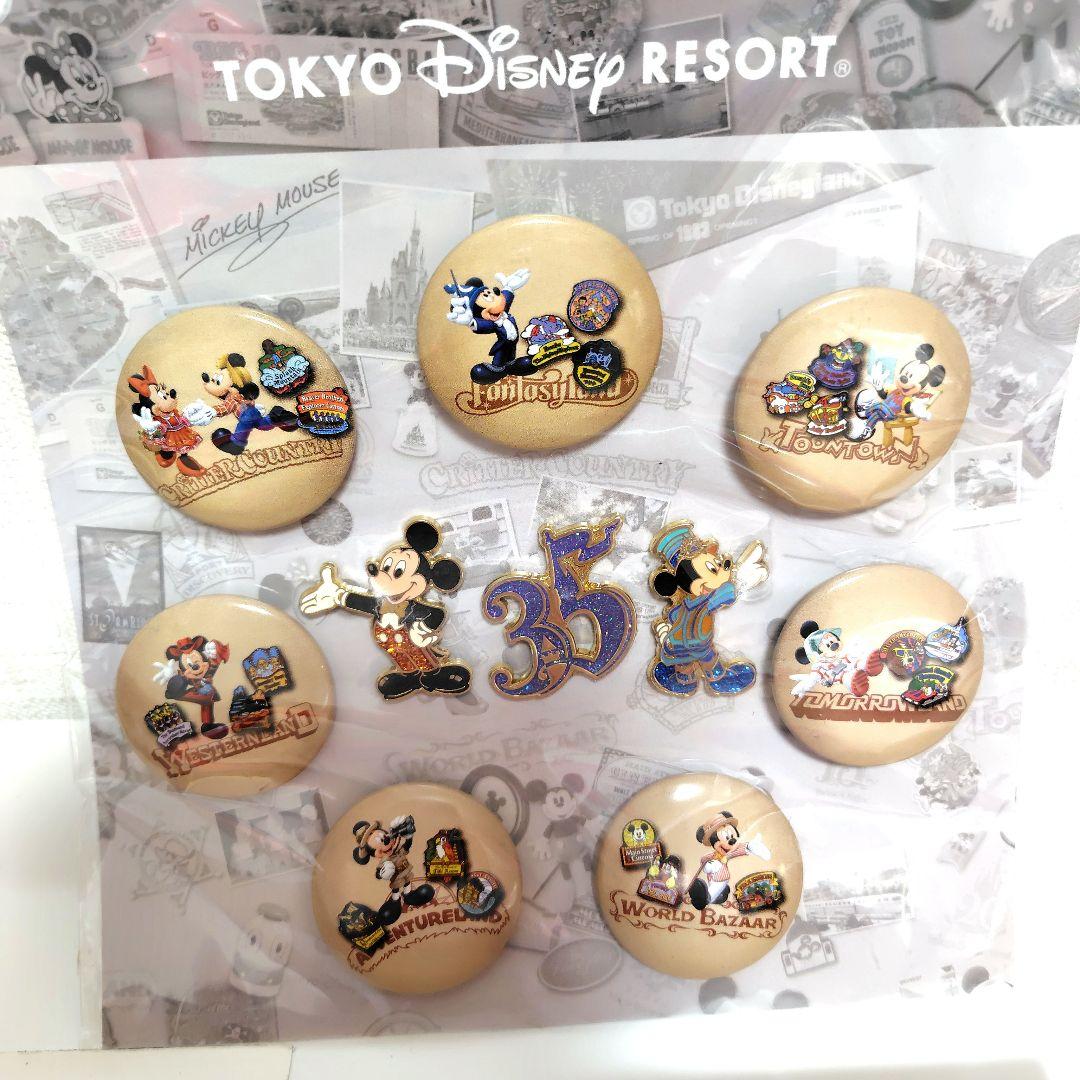 ディズニーリゾート 25周年缶バッチピンバッジ＆25周年ストラップ＆使用済チケ