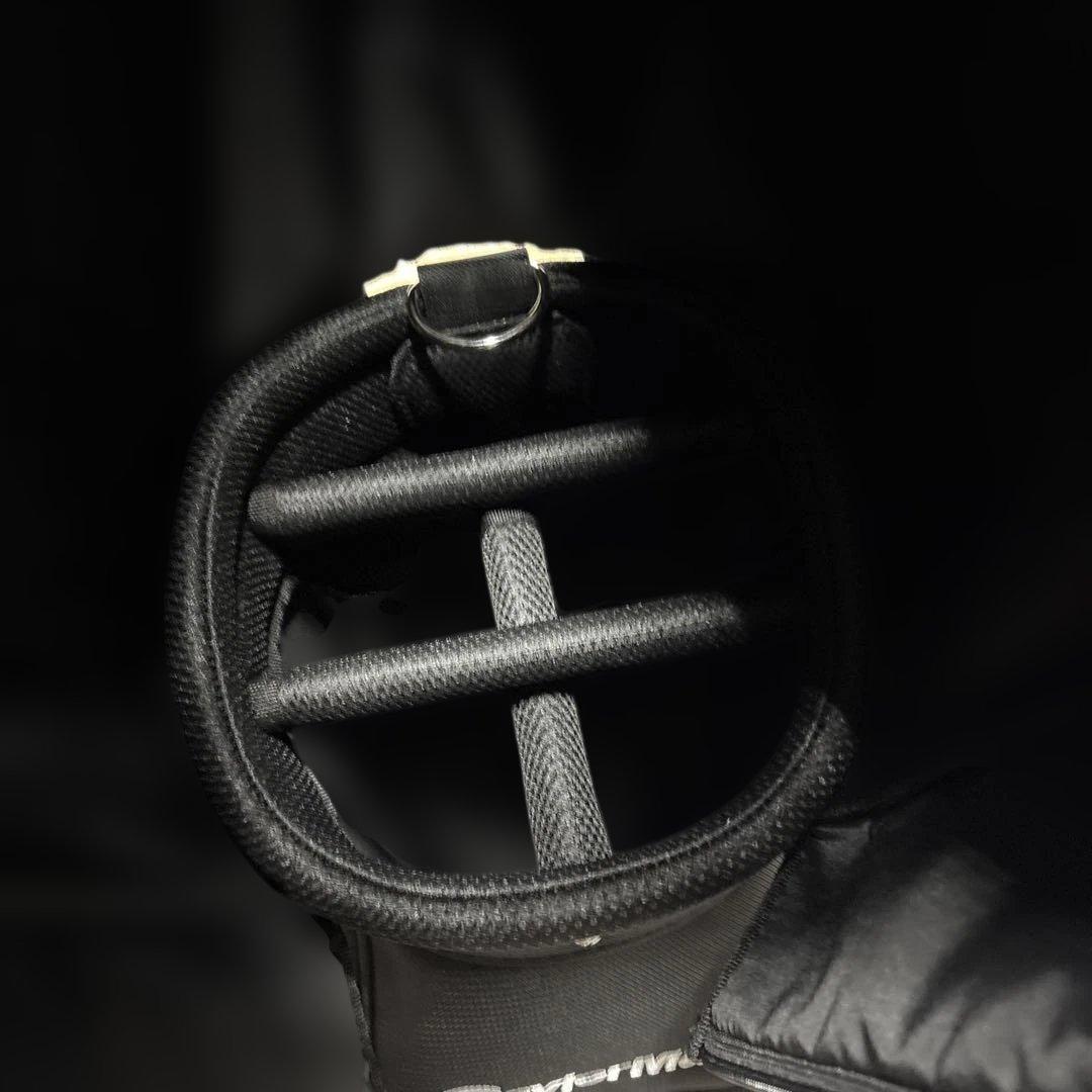 TaylorMade ゴルフ　キャディバッグ