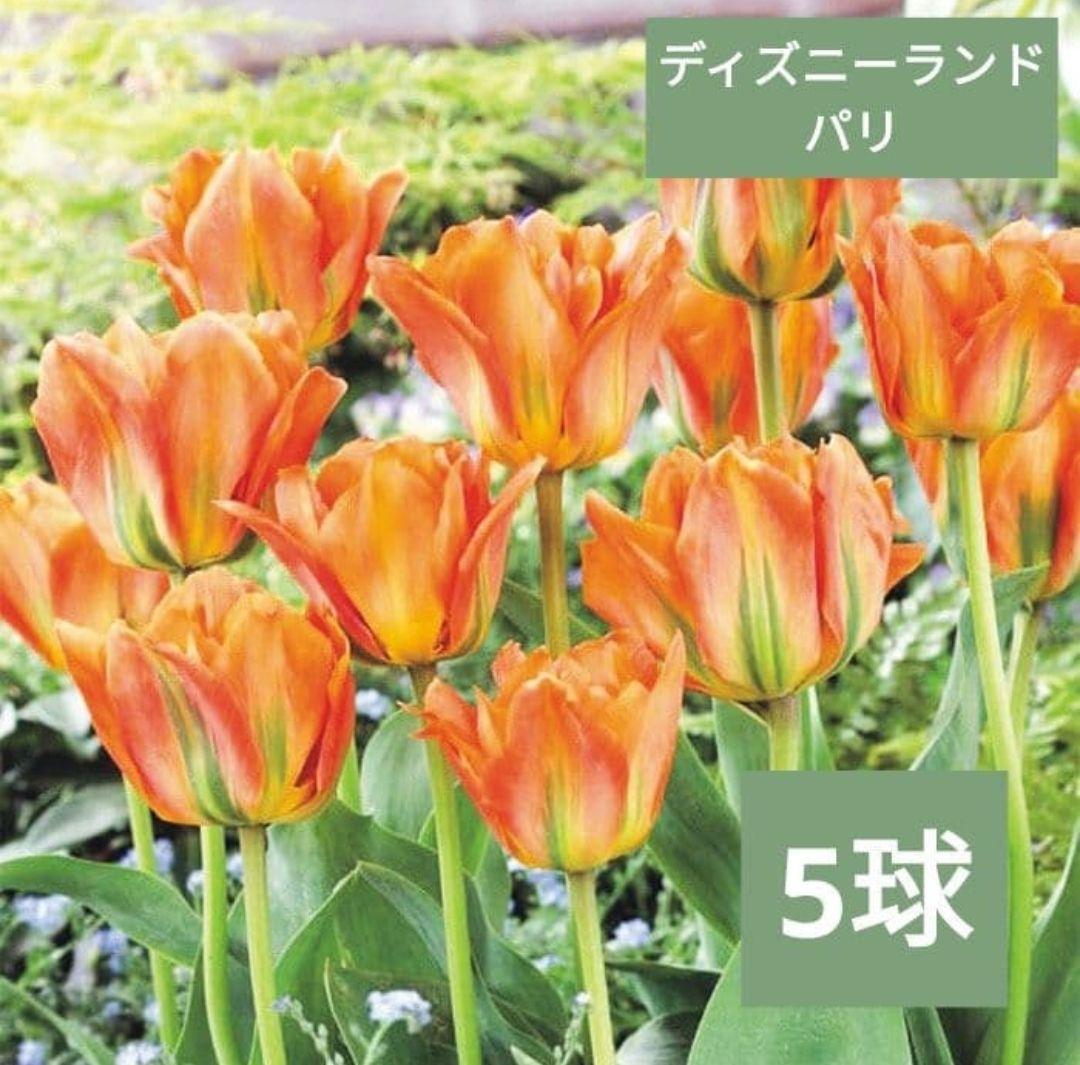 Ando様 リクエスト 6点 まとめ商品