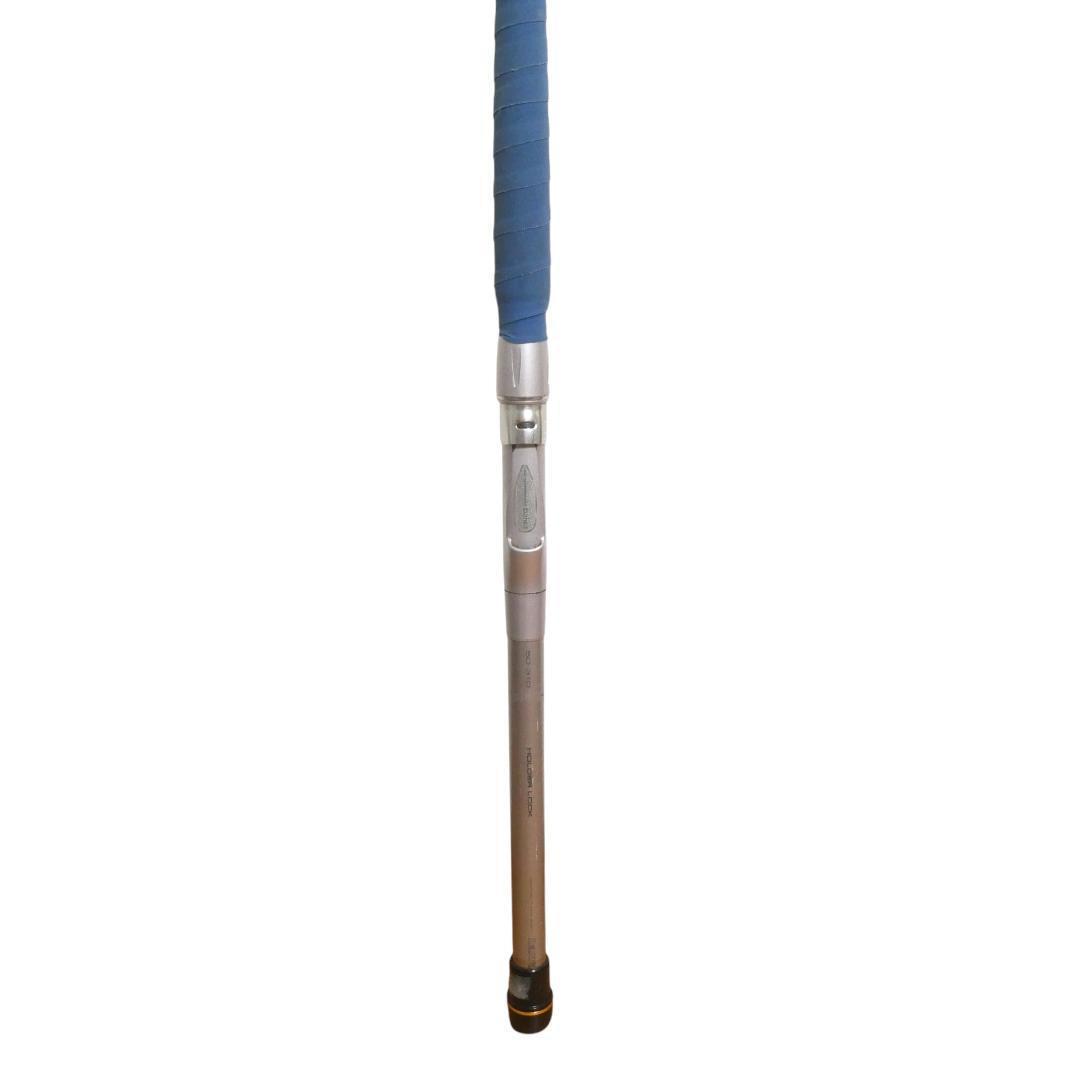 Daiwa HZ IL 潮流 T 50号310 釣り竿 つり 竿