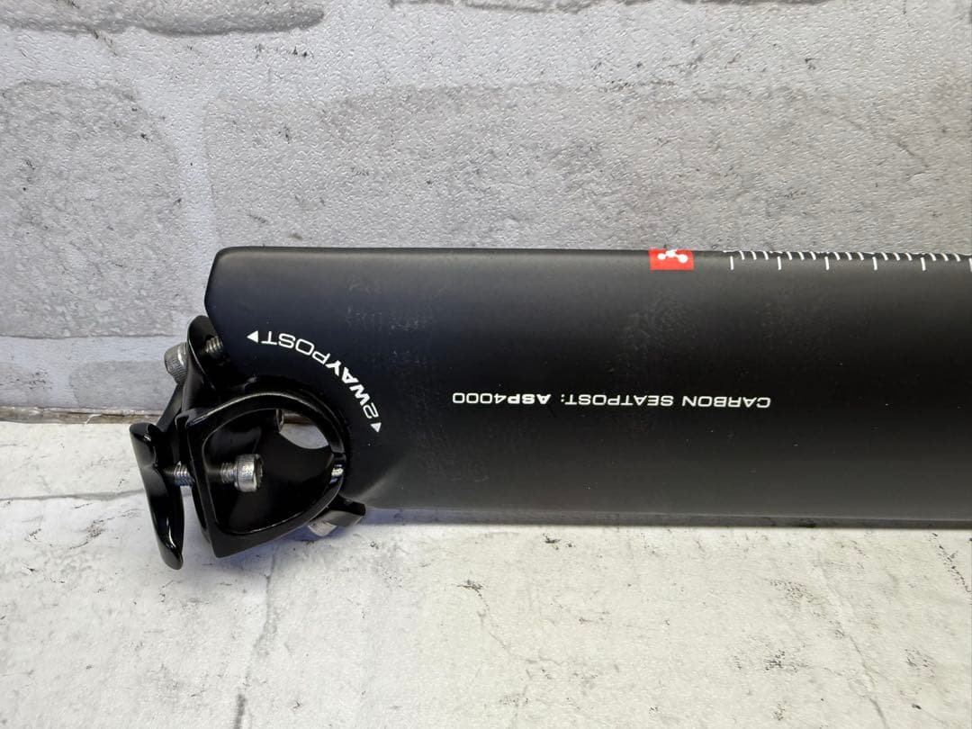 ARGON18 TTバイク用　カーボンシートポスト　新品？