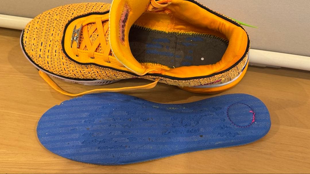 ナイキ レブロン20 グローバルラスト26.5cm NIKE Lebron20