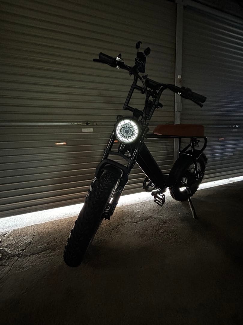 公道走行可 引取り限定 電動アシスト自転車 48Vバッテリー AUSブランド発祥