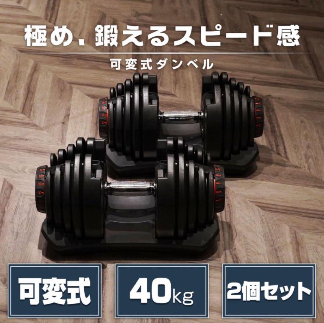 ダンベル 可変式 40kg 2個セット ライトグレー 機能 アジャスタブル