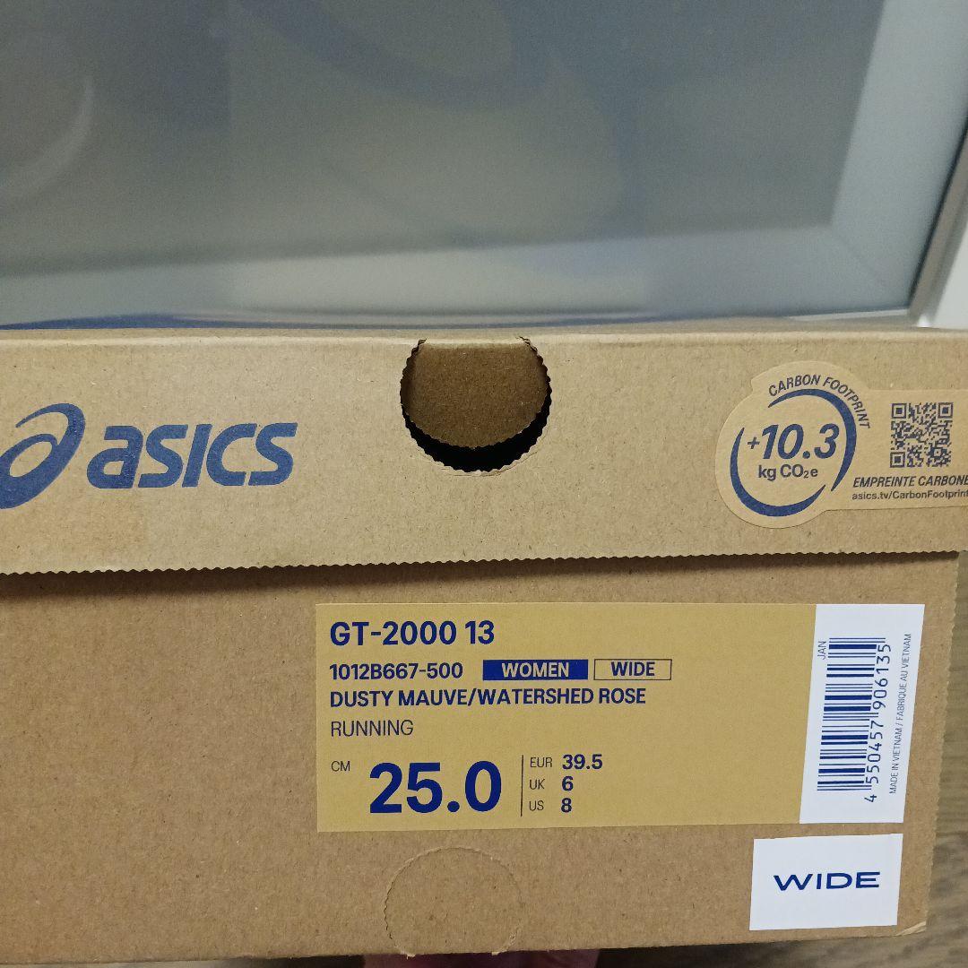ASICS GT-2000 13 WIDE 25cm ランニングシューズ