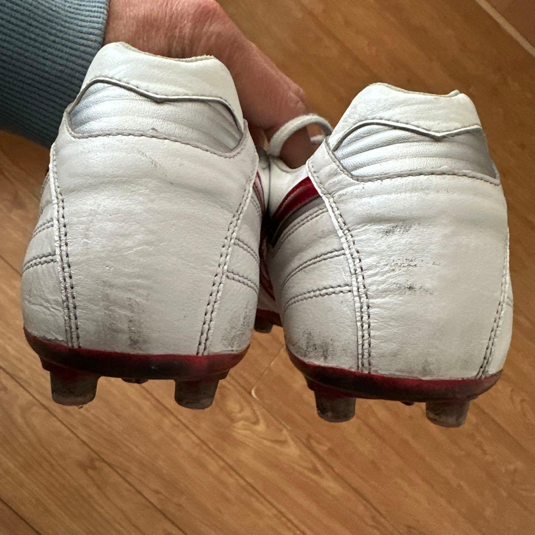 MIZUNOモレリアジャパンAG