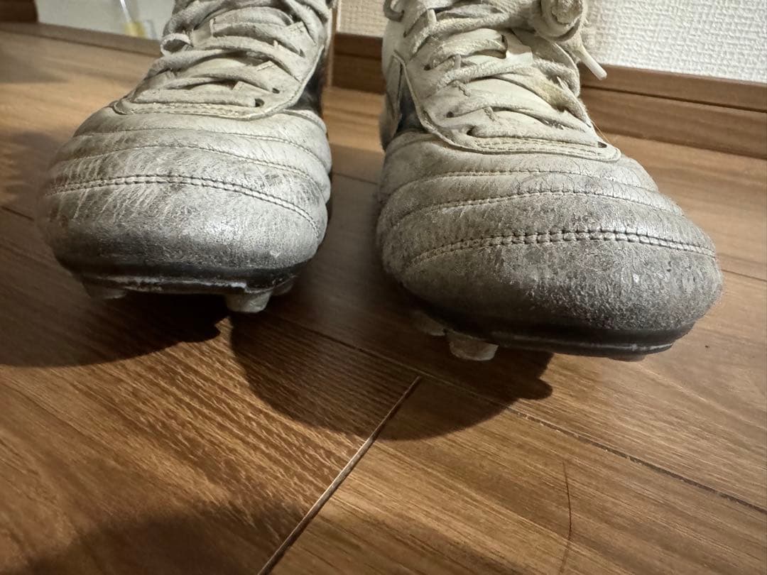 モレリア2JAPAN Mizuno Morelia 26.5