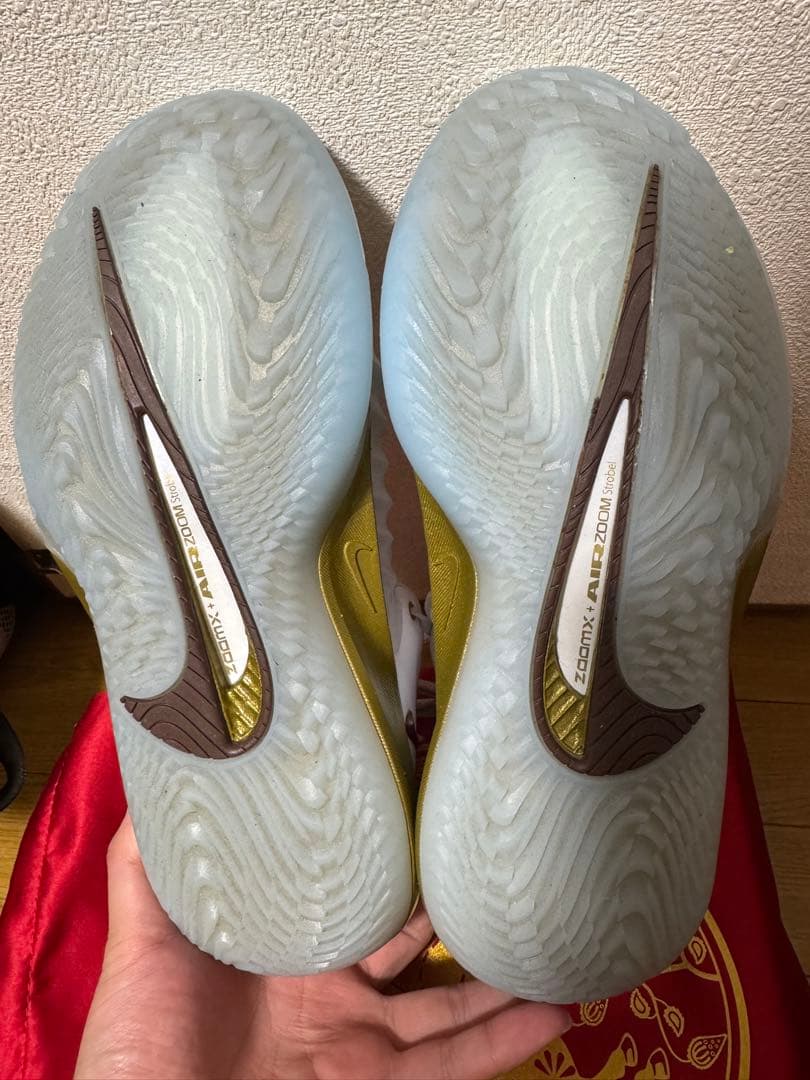 シューズ(男性用) Nike Gtcut4 29cm