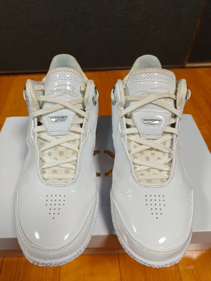レブロン NXXTGEN AMPD(28.0cm) WHITE