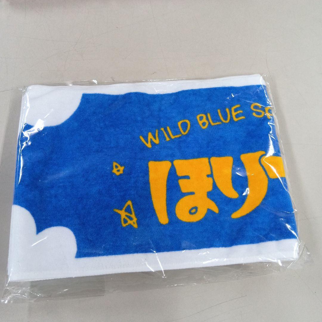 WILDBLUE　ほりでぃ　フーディ＆マフラータオル