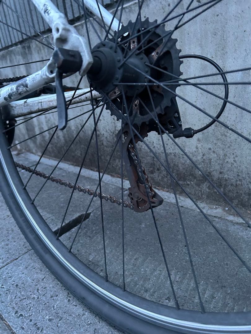 Bianchi クロスバイク ホワイト 700c