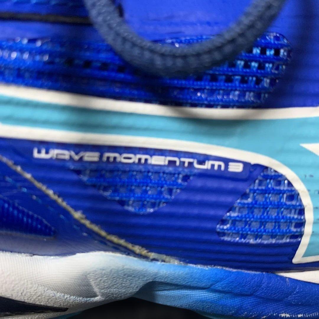 Mizuno Wave Momentum 3 バレーボールシューズ 28センチ