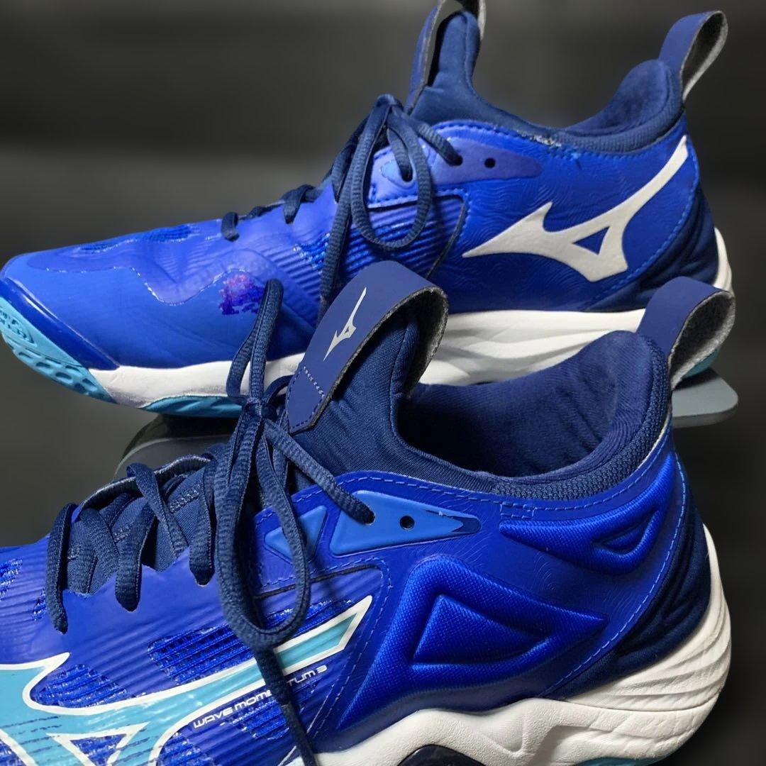 Mizuno Wave Momentum 3 バレーボールシューズ 28センチ