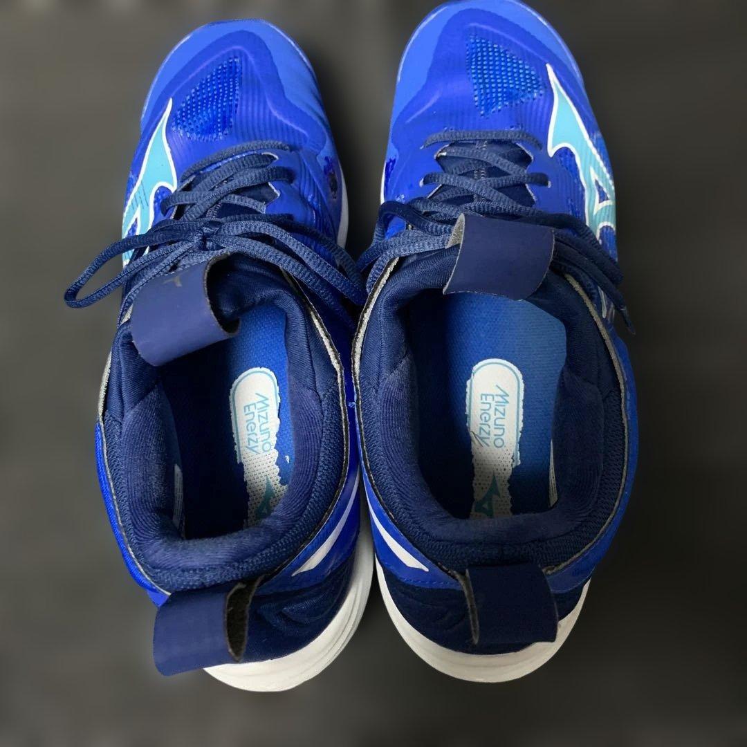 Mizuno Wave Momentum 3 バレーボールシューズ 28センチ