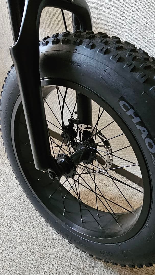 自転車本体 2024 MATE X EVO First Edition