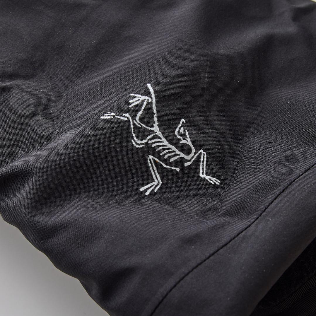 ARC'TERYX Alpha SVミトン GORE-TEX Mサイズ