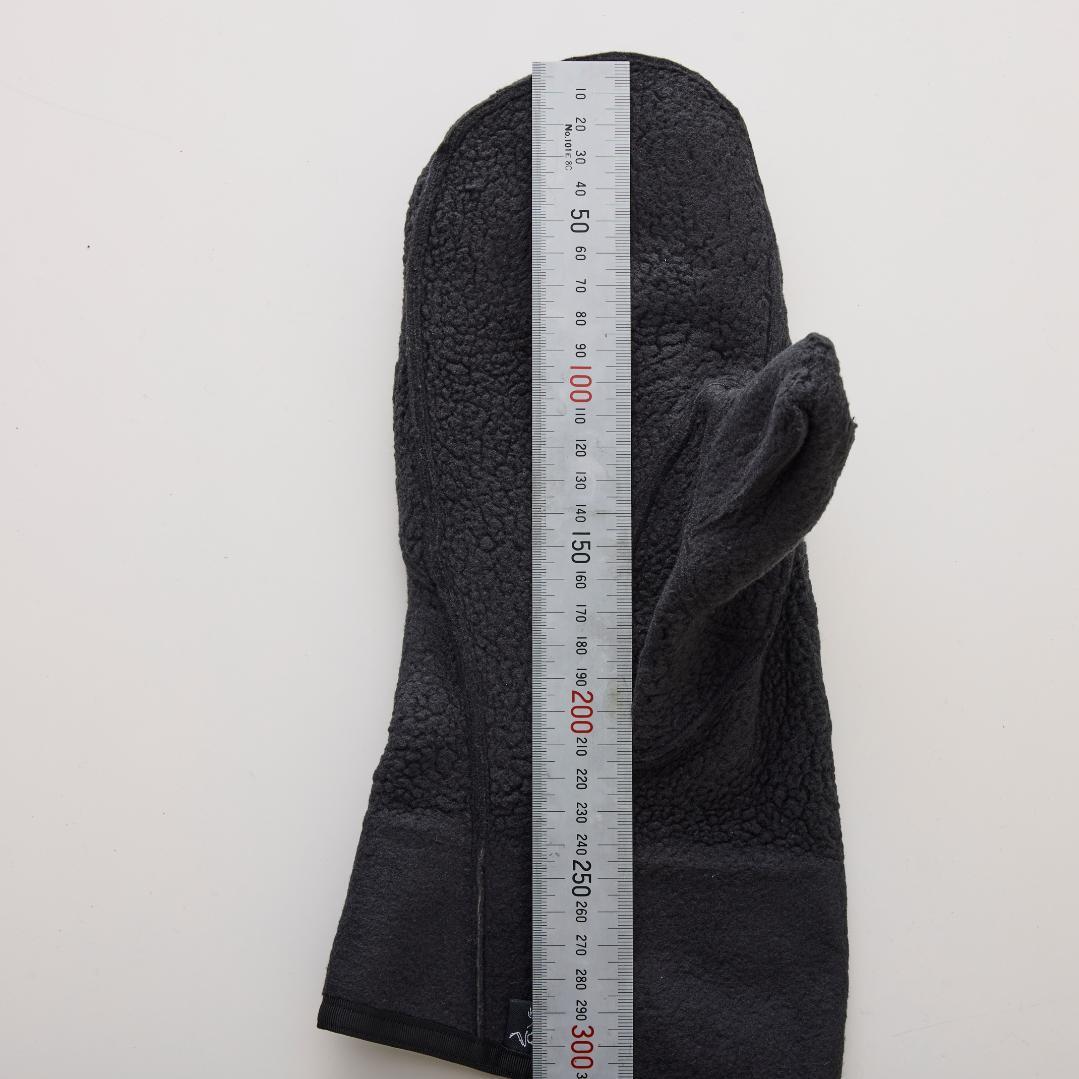 ARC'TERYX Alpha SVミトン GORE-TEX Mサイズ