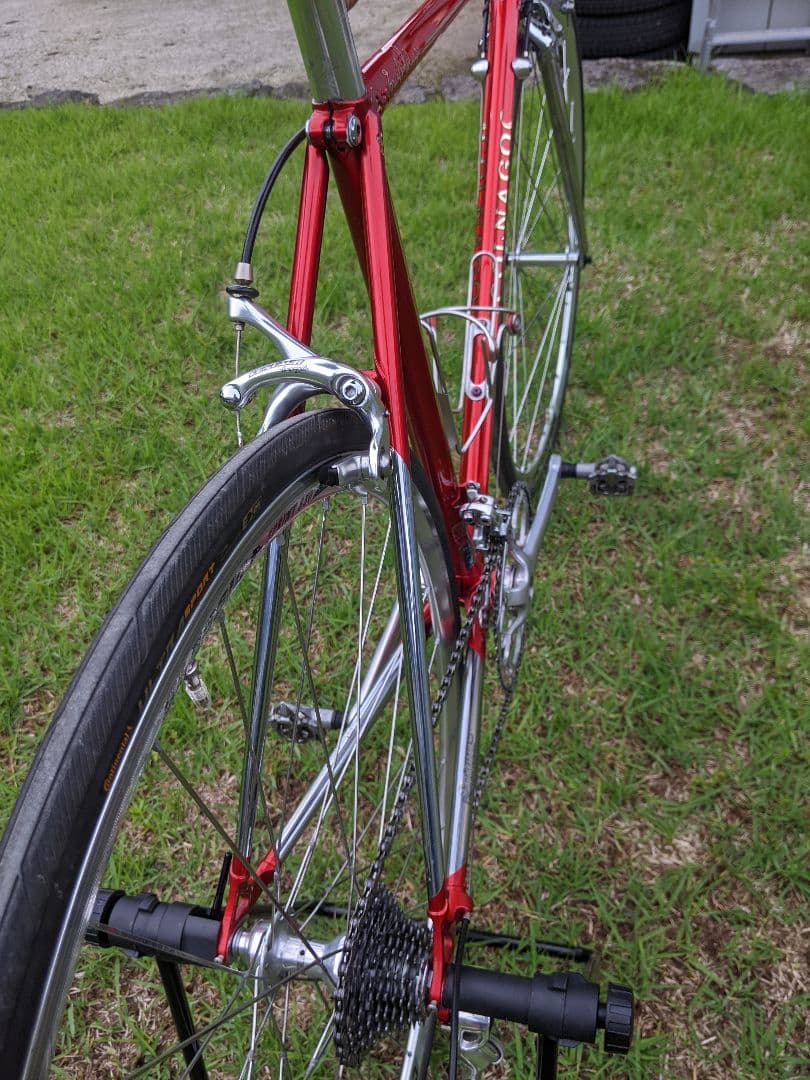 お洒落 限定20本 Colnago Arabesque コルナゴ アラベスク