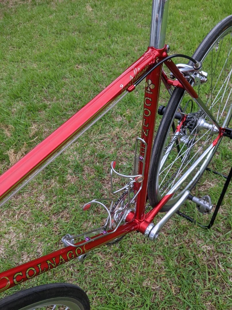 お洒落 限定20本 Colnago Arabesque コルナゴ アラベスク