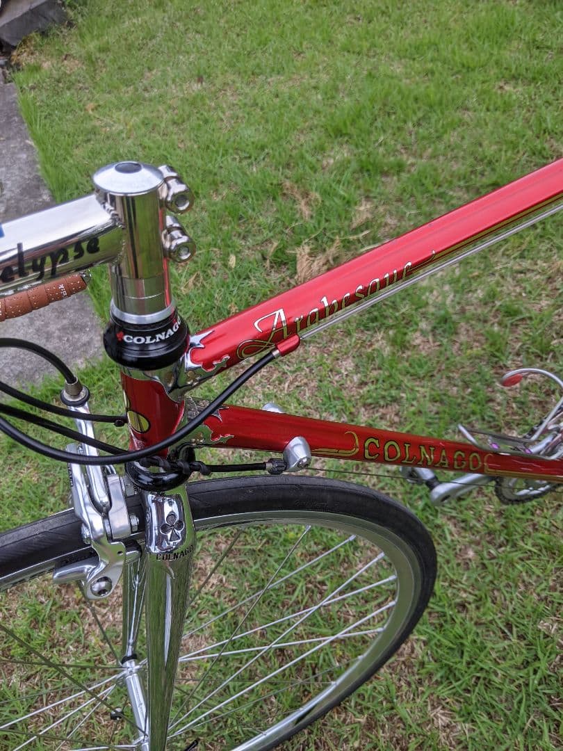 お洒落 限定20本 Colnago Arabesque コルナゴ アラベスク