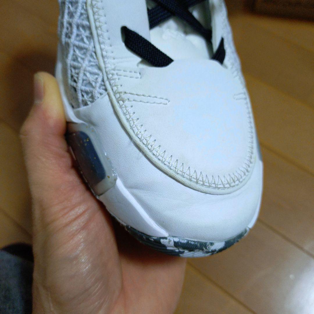 エアジョーダン　38 low