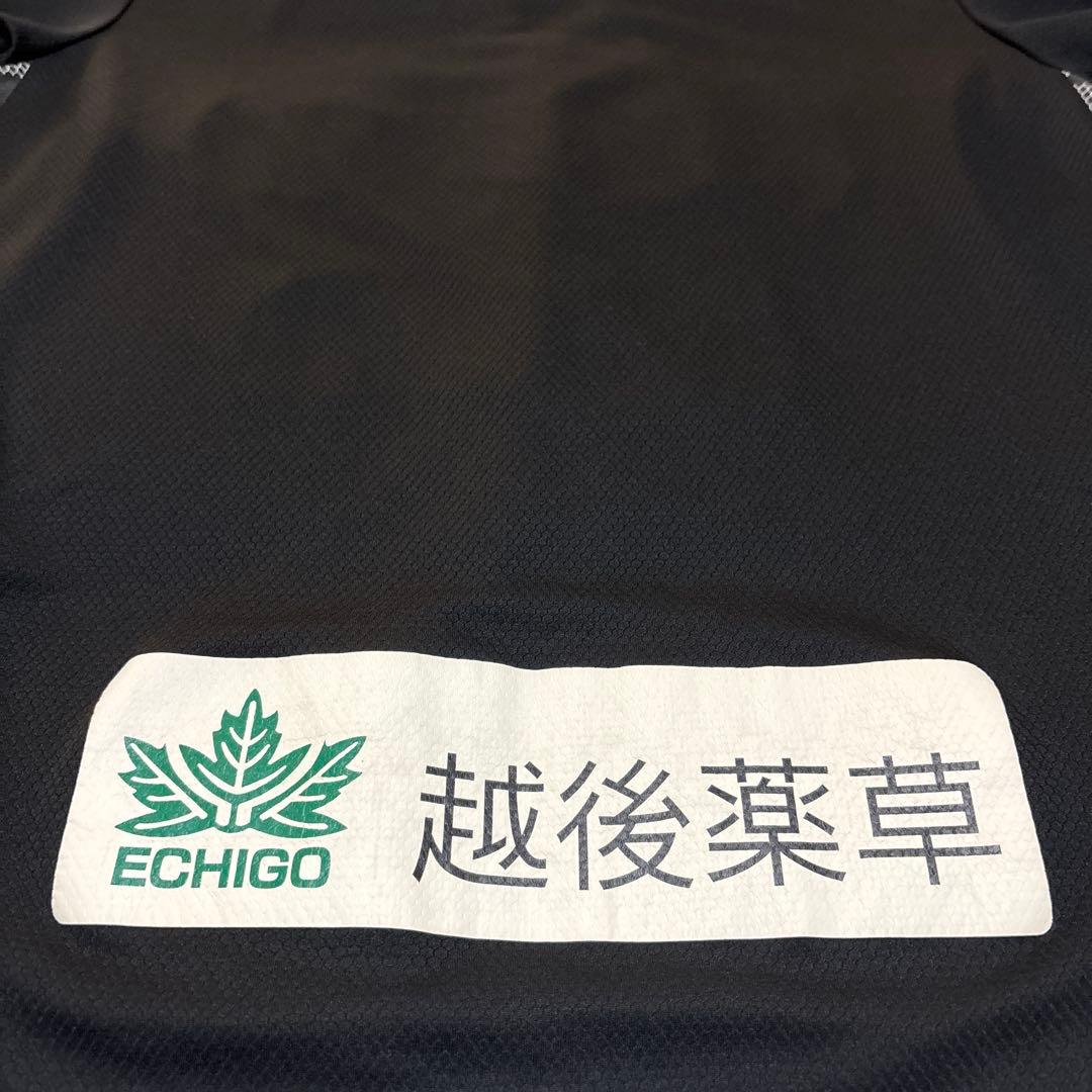 アルビレックス新潟