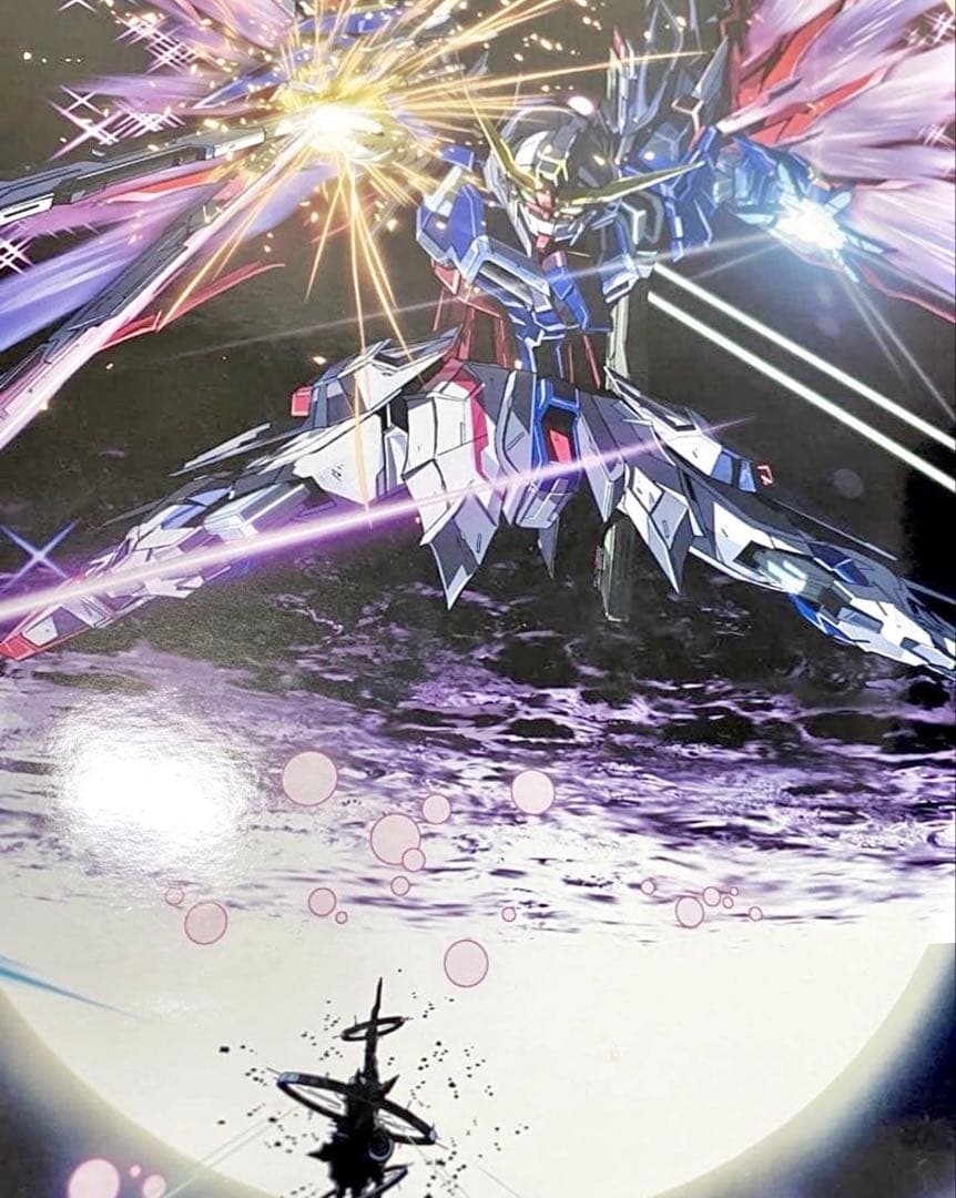 L BUILD デスティニーガンダム フルパッケージ SEED