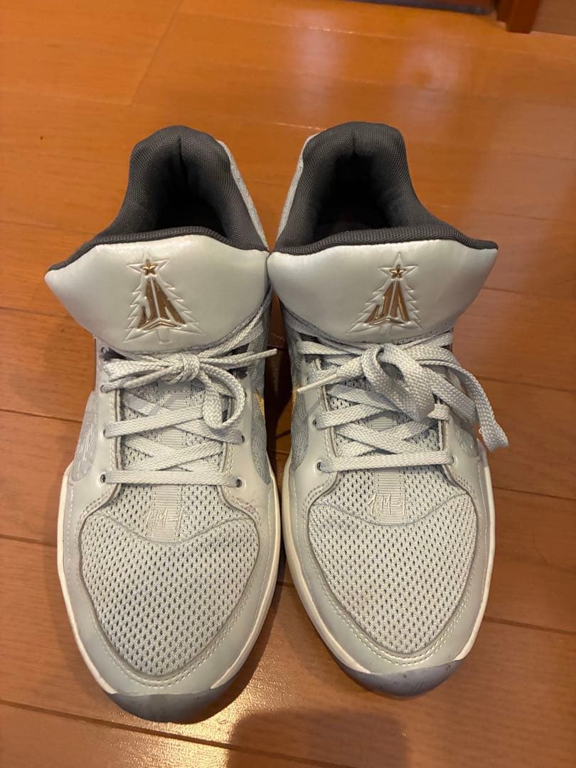 NIKE ja2 クリスマス