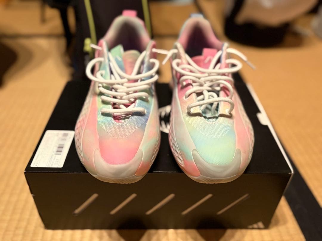 【再出品】adidas AE1 lowバスケットボールシューズ マルチカラー
