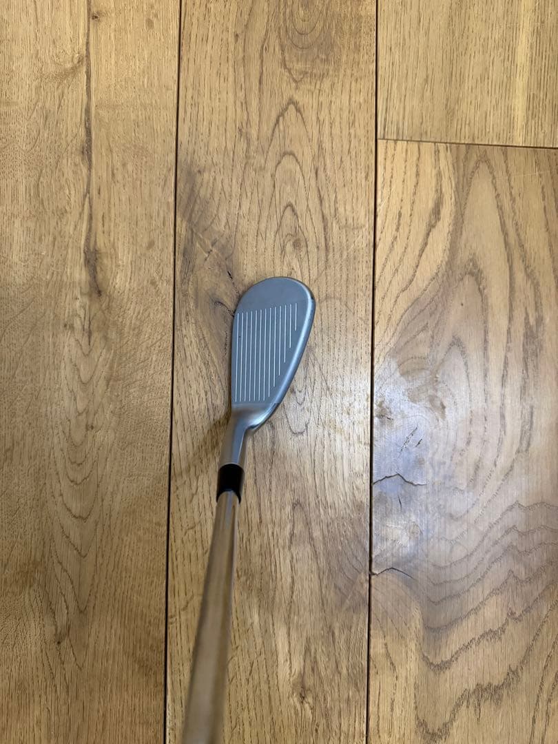 Mizuno JPX 923 FORGED DG105 ギャップ