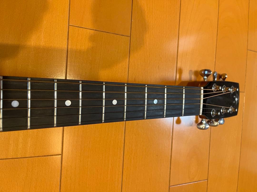 aNueNue Bird L 100 エレアコ