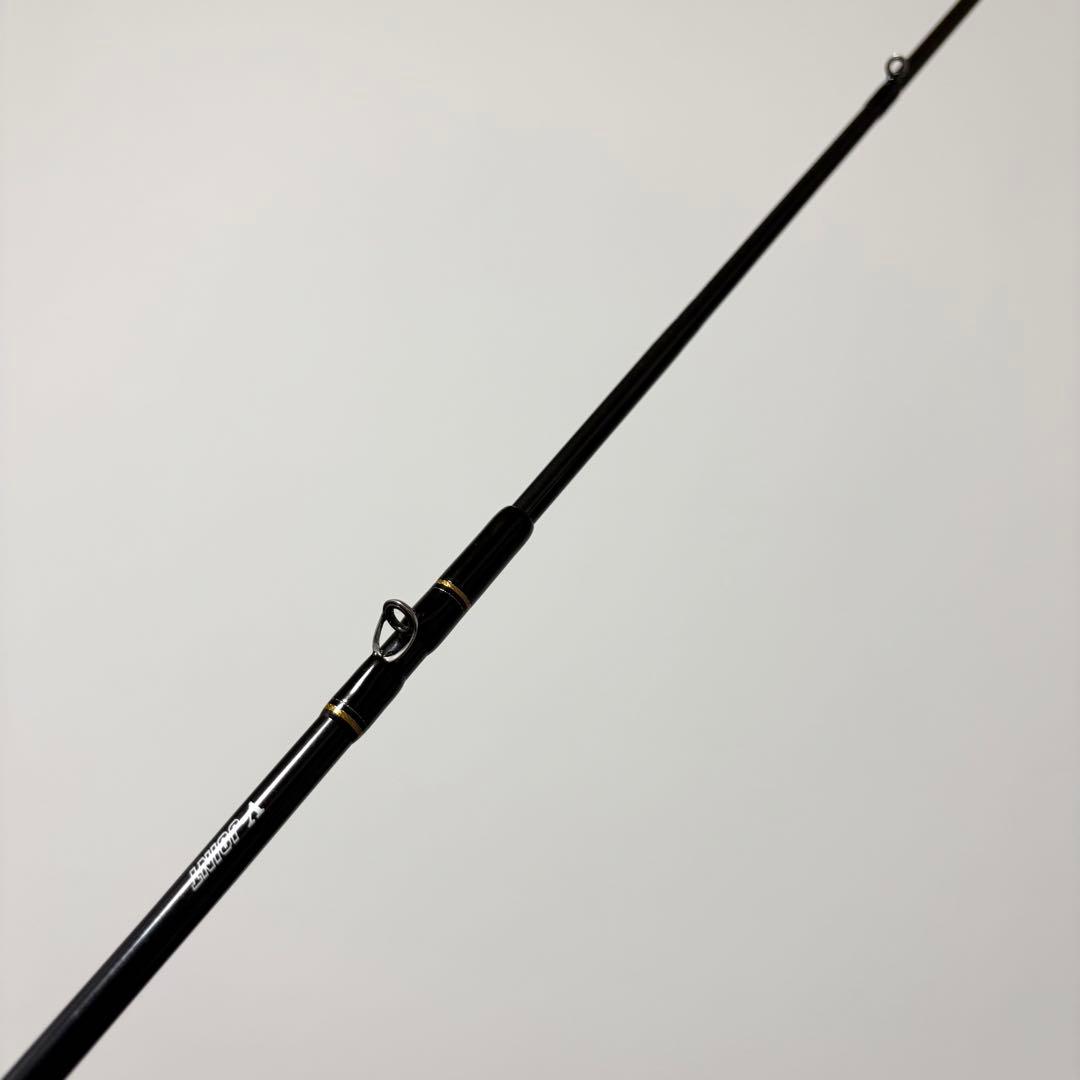 【一度使用しただけの美品】DAIWA飛竜イカダ210 06570430